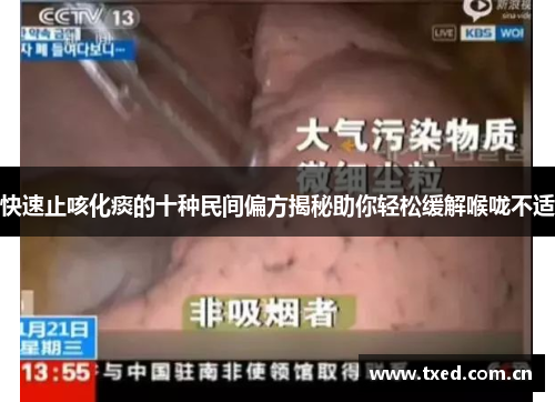 快速止咳化痰的十种民间偏方揭秘助你轻松缓解喉咙不适