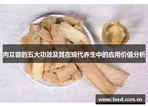 肉苁蓉的五大功效及其在现代养生中的应用价值分析 肉苁蓉的五大功效及其在现代养生中的应用价值分析