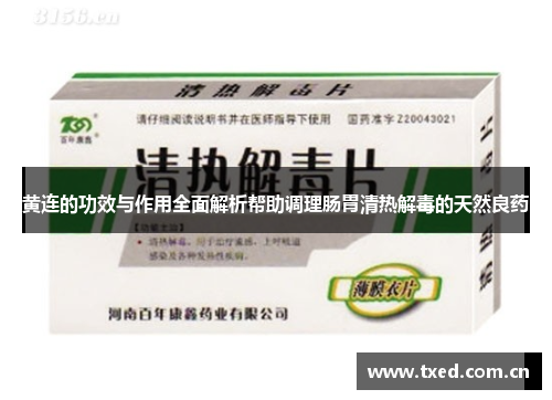 黄连的功效与作用全面解析帮助调理肠胃清热解毒的天然良药 黄连的功效与作用全面解析帮助调理肠胃清热解毒的天然良药