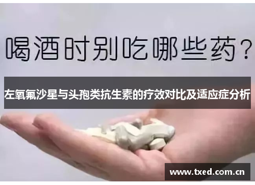 左氧氟沙星与头孢类抗生素的疗效对比及适应症分析 左氧氟沙星与头孢类抗生素的疗效对比及适应症分析