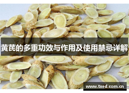 黄芪的多重功效与作用及使用禁忌详解 黄芪的多重功效与作用及使用禁忌详解