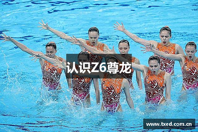 认识Z6尊龙